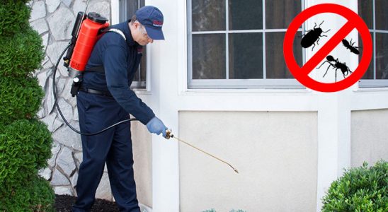 Refahiye Bit İlaçlama böcek ilaçlama ve haşere kontrolü — ilaclama-tr.com